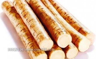 野生新鲜中药牛蒡图片长什么样,表面绿色光滑/背面有灰色的短毛